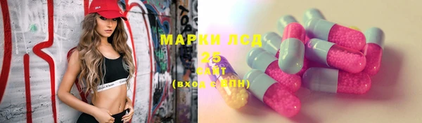 ГАЛЛЮЦИНОГЕННЫЕ ГРИБЫ Алзамай