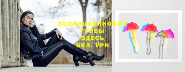 ГАЛЛЮЦИНОГЕННЫЕ ГРИБЫ Алзамай