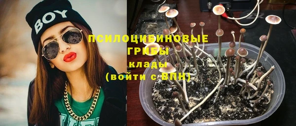 ГАЛЛЮЦИНОГЕННЫЕ ГРИБЫ Алзамай