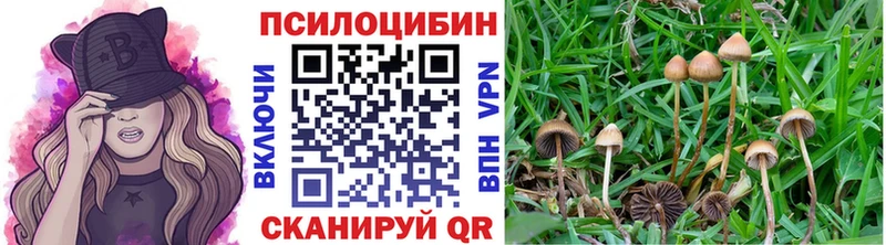 Галлюциногенные грибы Cubensis Кукмор