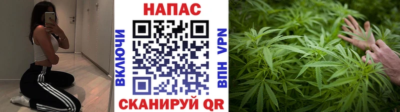 маркетплейс телеграм  Кукмор  Канабис Bruce Banner 
